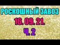 🌸Продажа орхидей. ( Завоз 16. 09. 21 г.) 2 ч. Отправка только по Украине. ЗАМЕЧТАТЕЛЬНЫЕ КРАСОТКИ👍