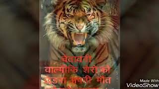 valmiki-sarkar-song-royal-valmiki-of-story