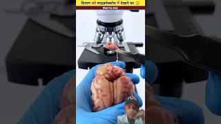 Under microscope humans brain 😱 mini wood toys - wood working art' skill #shortsfeed #viralvideo