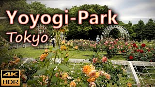 Yoyogi Park 代々木公園 one of Tokyo largest park / Tokyo, Japan / 4K HDR