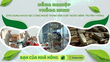 Ứng Dụng Khoa Học Công Nghệ Trong Sản Xuất Nước Mắm Truyền Thống