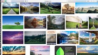 Surreal Landscape basic