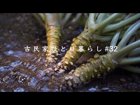 【田舎で働く】本わさびの秘密|生わさび丼|ダチョウ肉を食べてみた|堤農園|たまや王国|西伊豆町