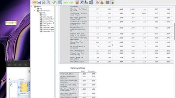 Factor Analysis SPSS Runthrough