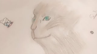 Draw a cute Cat Face |step by step| #cat #raac #viral #art #catface#face#sketch#drawing #video