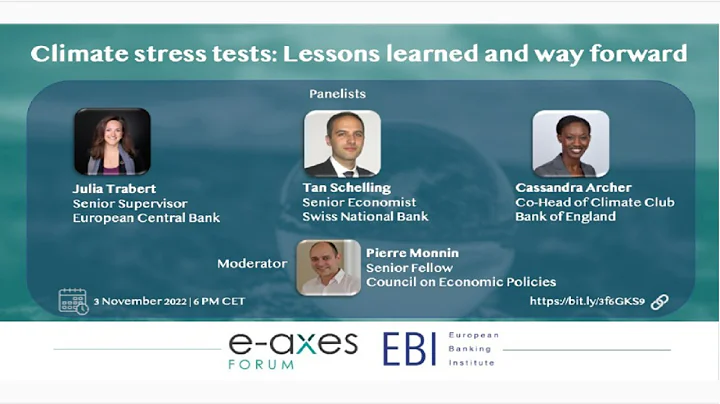 Climate stress tests: Lessons learned and way forw...