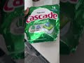 19 de março de 2026