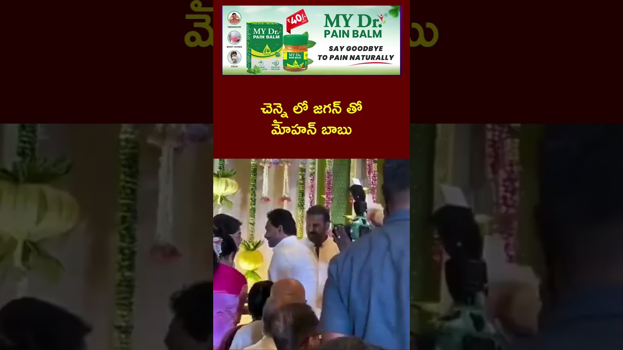 చెన్నై లో జగన్ తో మోహన్ బాబు | Ntv Telugu