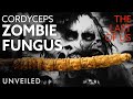 Cordyceps Fungus: Reality vs Fiction