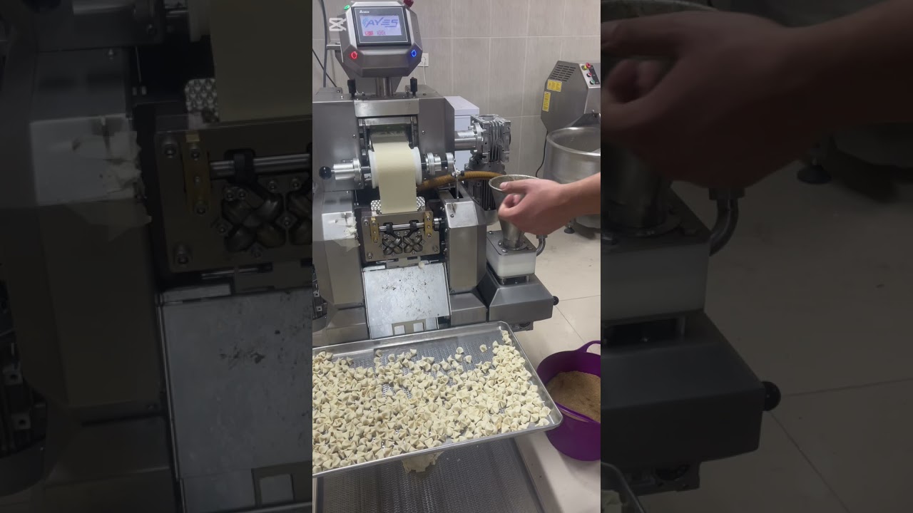 Çig kıymalı mini mantı makinesi AYES