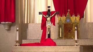Celebration of the Lord's Passion from St. Joseph Catholic Church - April 10, 2020 3:00pm