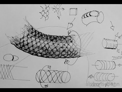 Pen & Ink Drawing Tutorials  How to draw realistic scales on fish