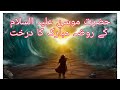 Hazrat Musa AS k rozy main lagy drakht ki lakri | Miracle Moses | Urdu Hindi