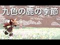 九色の鹿の季節やり残し消化する!【Sky星を紡ぐ子どもたち】