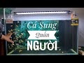 Fish 128 lm sao  c sung qun ngi  mt tay