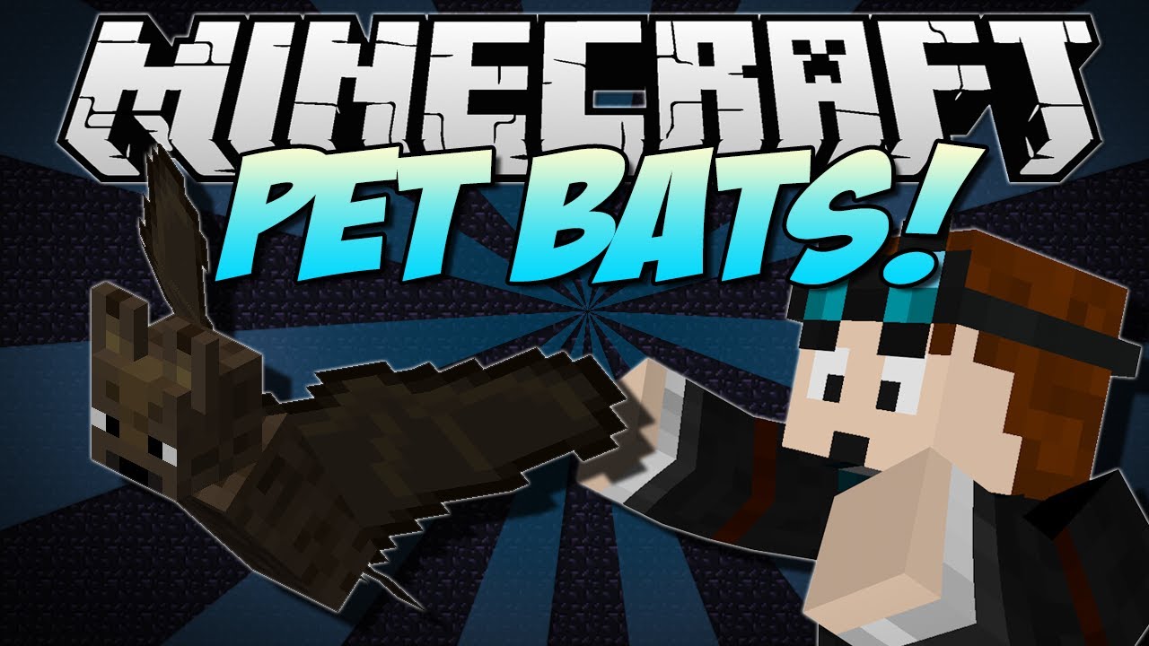 Can You Tame A Bat In Minecraft Pe Minecraft Pet Bats Feed Them Pie Call Them Your Own Mod Showcase 1 6 1 Youtube
