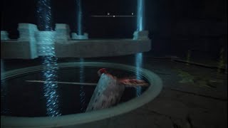 Thank you Dark Souls & Elden Ring compilation 112