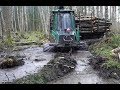 Timberjack 810B logging in wet rainy spring forest