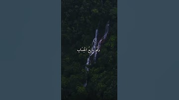 واتس اب قران كريم القارئ ياسر دوسري (سوره الرعد)