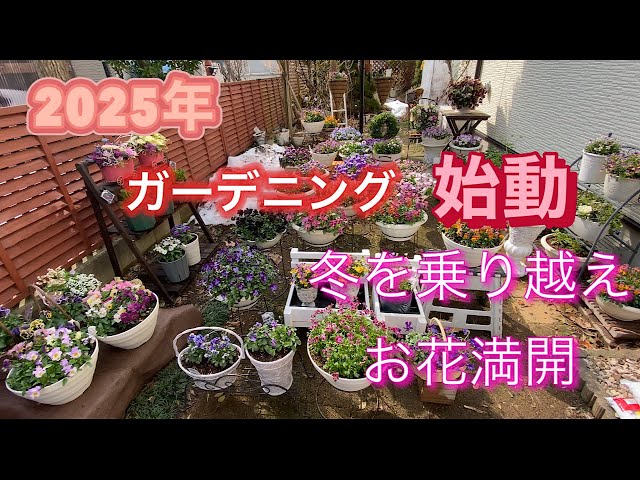 【中古】 「週末ガーデニング」の便利帳 楽しく育てて、素敵に見える！/青春出版社/ガーデニング倶楽部 中古】 「週末ガーデニング」の便利帳 楽しく育てて、素敵に