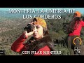 MONTERIA LA UMBRIA //  ORGÁNICA LOS MONTEROS