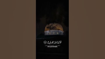تلاوة عطرة من ايات الذكر الحكيم