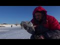 Рыбалка. Казахстан. Река Солянка. Река Барбастау. Fishing. Kazakhstan.