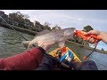 [Get 44+] Kayak Fishing Hilton Head Island