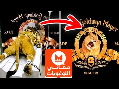 معاني أشهر اللوغويات في العالم عجائب ميغا معلومات