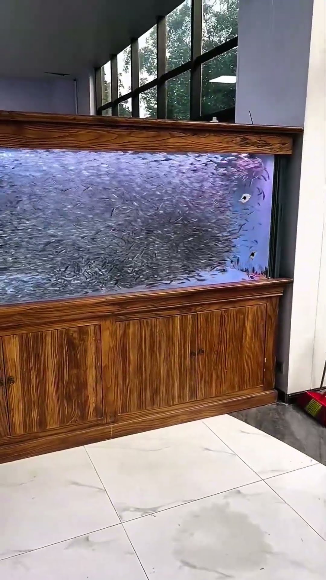 Indoor aquarium with glass view