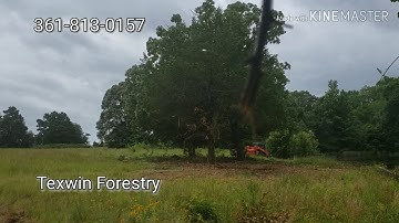 Time lapse mulching