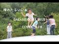晴れたらいいね / DREAMS COME TRUE COVER: F J B