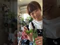 鶏ささみの塩煮とサラダチキンのアレンジ