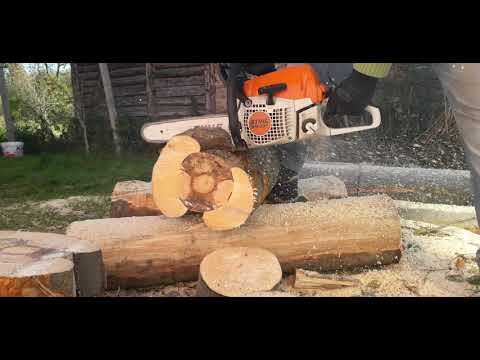 Stihl  ms  231 (42,6 cc) cutting  wood  .