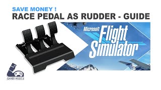 How To Use Your Racing Sim Pedals As Rudder Pedals In Microsoft Flight Simulator -  Guide screenshot 2
