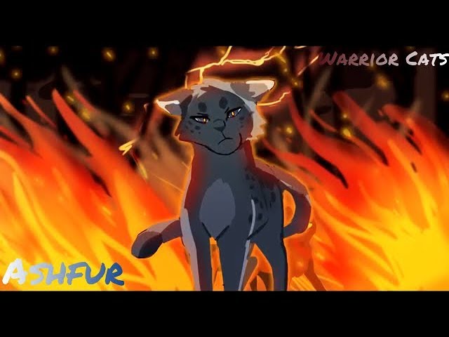 Warrior Cats Ashfur Tribute - E.T 