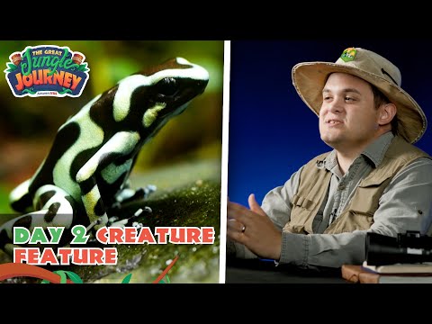 Dangerous Dart Frog! Creature Feature: Day 2 | The Great Jungle Journey VBS