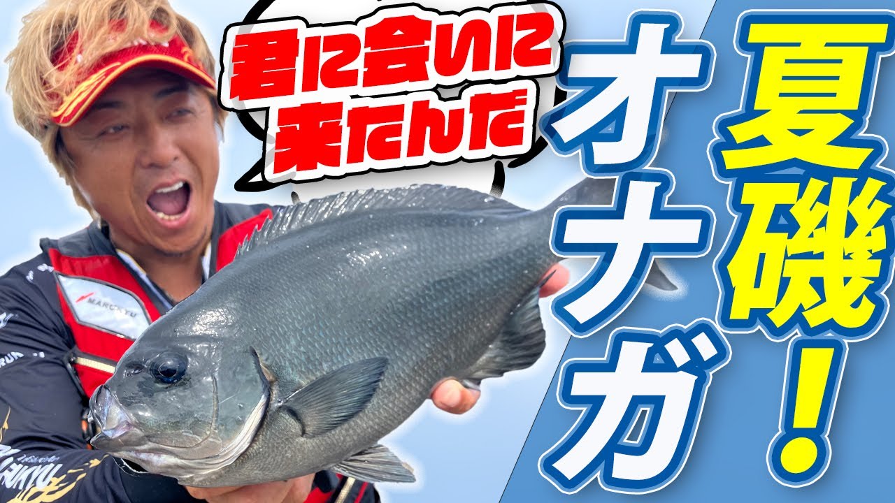 ピースin宮崎、真夏のオナガ釣り！