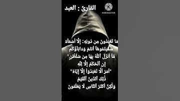 إن الحكم إلا لله ( سورة هود ) للقارئ العبد