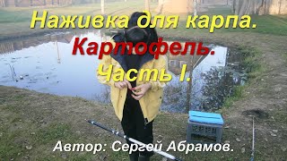 Наживка для карпа. Картофель. Часть I.