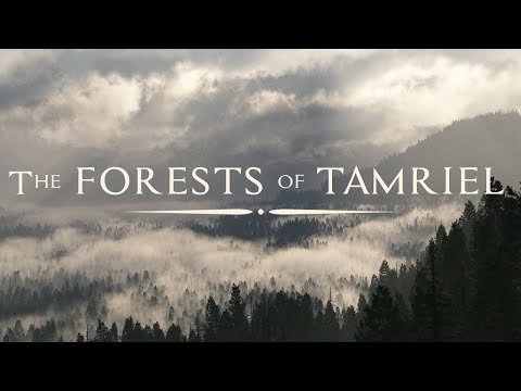Jeremy Soule (Skyrim) — In The Forests of Tamriel [Skyrim Forestpine BSA]