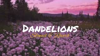 Ruth B. - Dandelions [Slowed \u0026 Reverb]