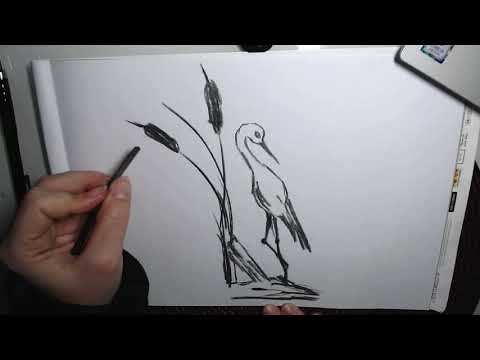 Video: Cum Să Desenezi O Barză Cu Un Creion