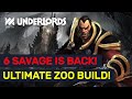 6 SAVAGE Is BACK! Ultimate Zoo Summoner Builds! | Dota Underlords