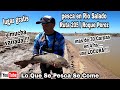 Pesca en el  Río Salado / pesca en Roque Perez / pesqueros gratis en la ruta 205 / pesca de Carpas