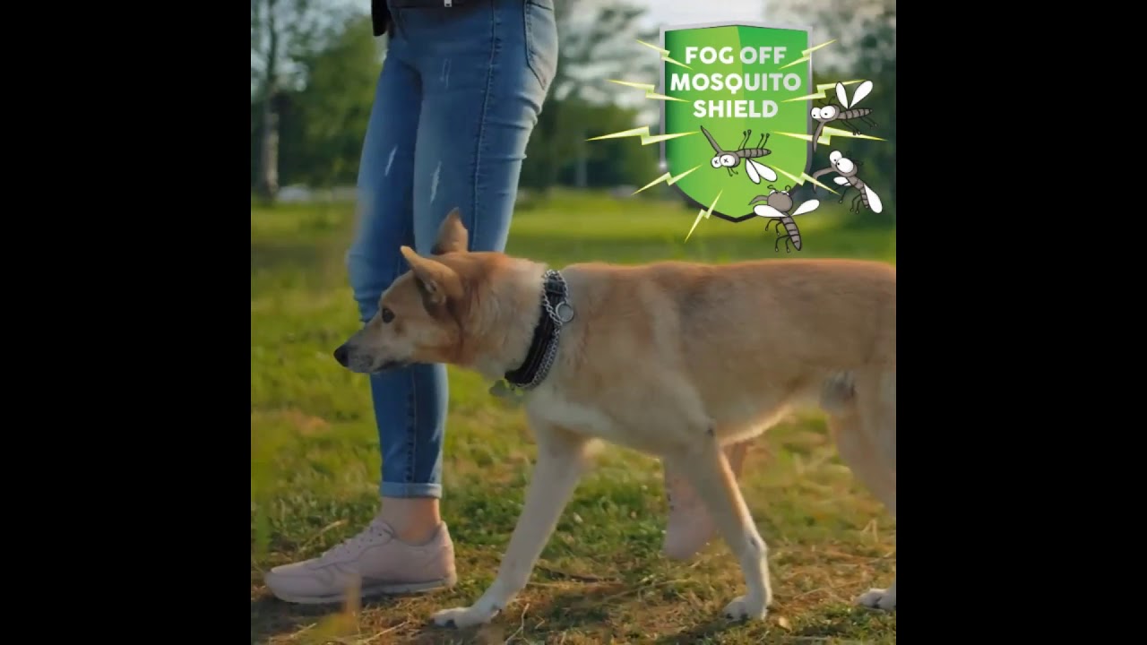 seresto collar kid safe