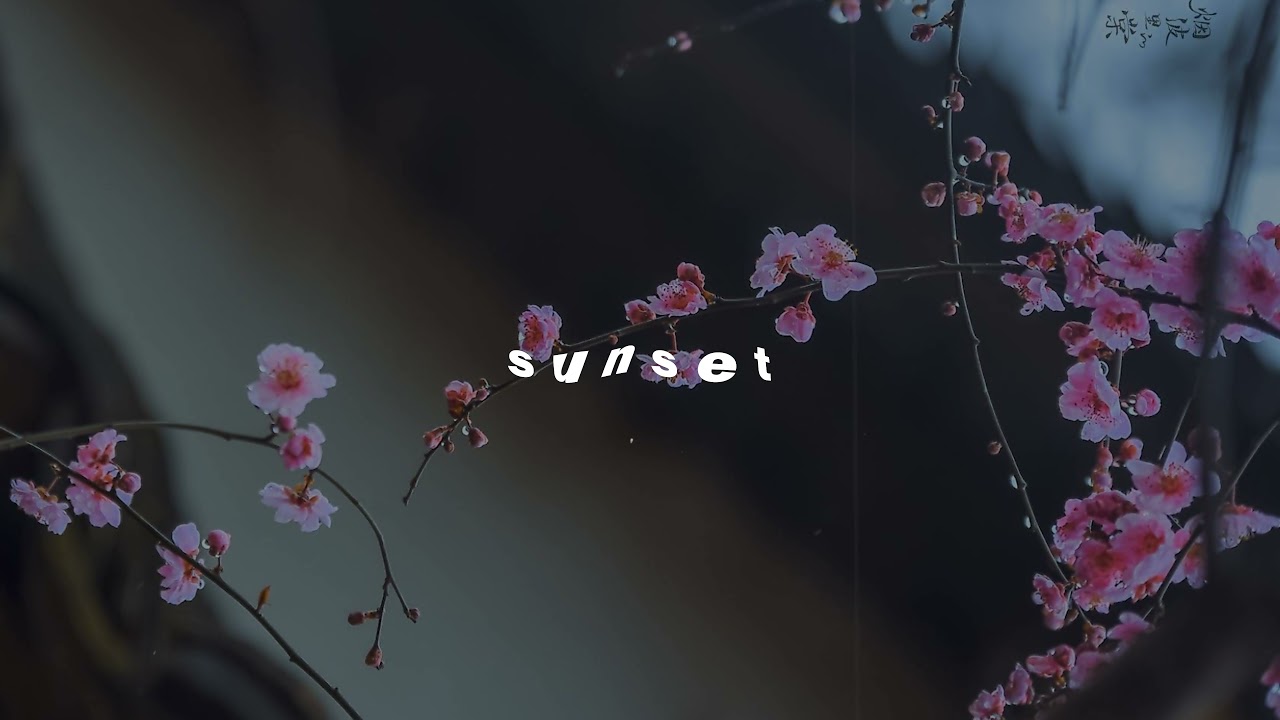 clairo - sofia (sped up \u0026 reverb)