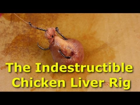 Bulletproof chicken liver rig - Stop losing bait when catfishing 