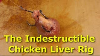 Bulletproof chicken liver rig - Stop losing bait when catfishing