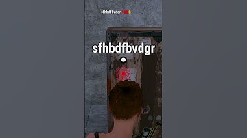 Ik weet hoe deze Rust-cheater zichzelf heeft genoemd! #rust #camomo #rustgame #cheater #gaming #p...